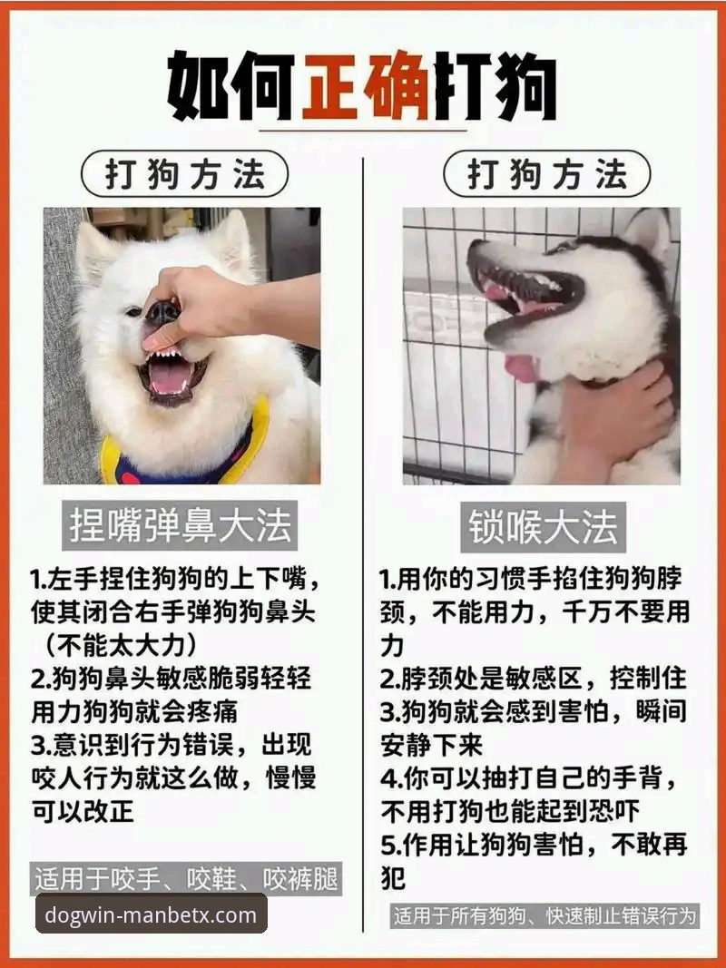 狗万manbetx官网网址 狗万体育平台实用指南:掌握狗万manbetx官网网址的创新玩法